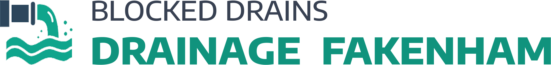 website logo